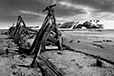 What Remains 10